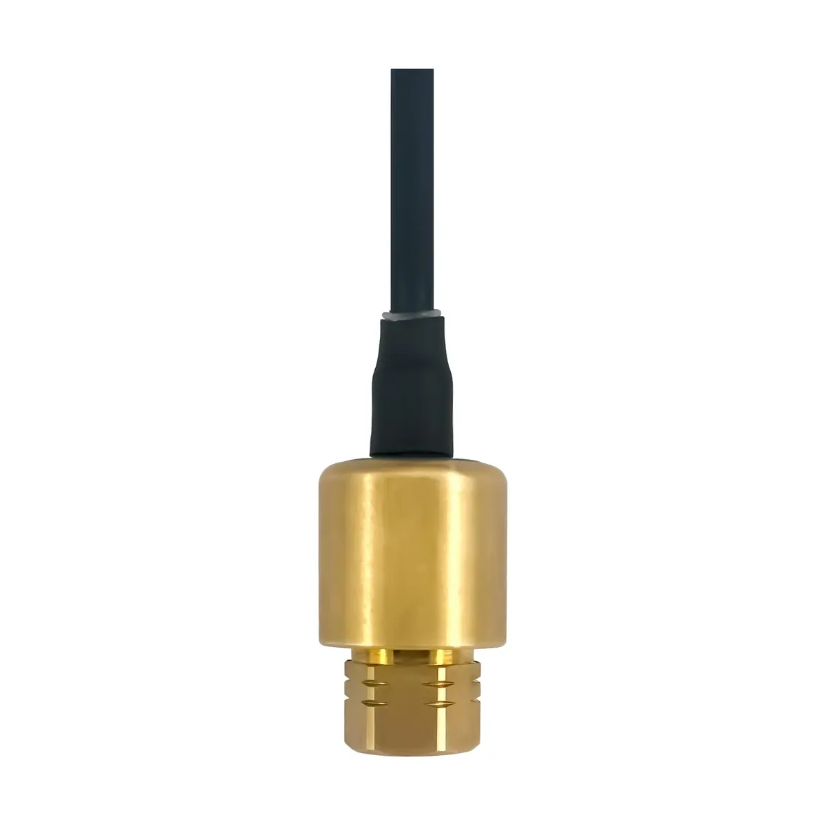 P21C 压力变送器